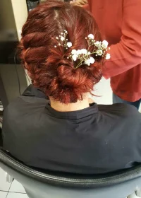 C'est un chignon tressé avec des épingles fleur. Les cheveux sont rouges.